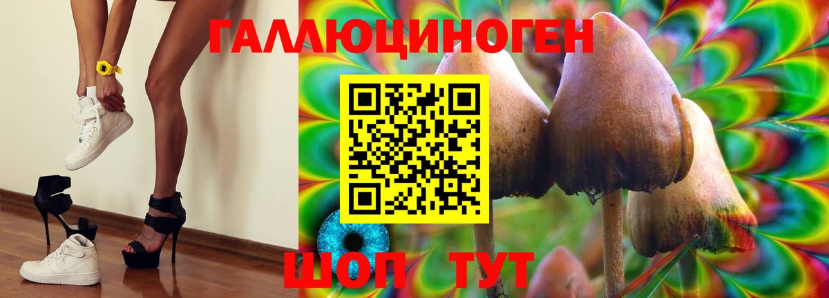Псилоцибиновые грибы ЛСД Губкинский